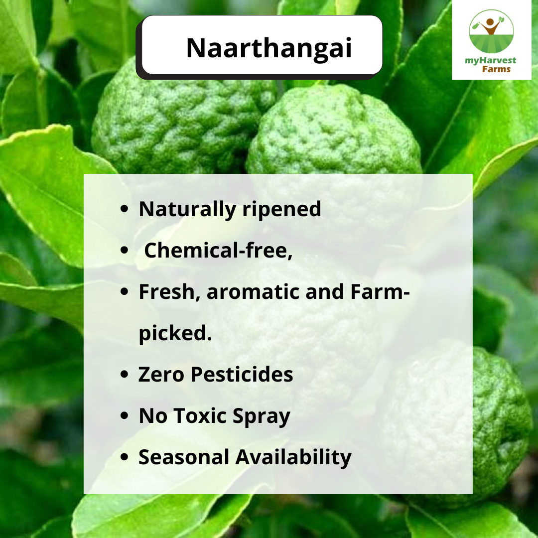 Narthangai