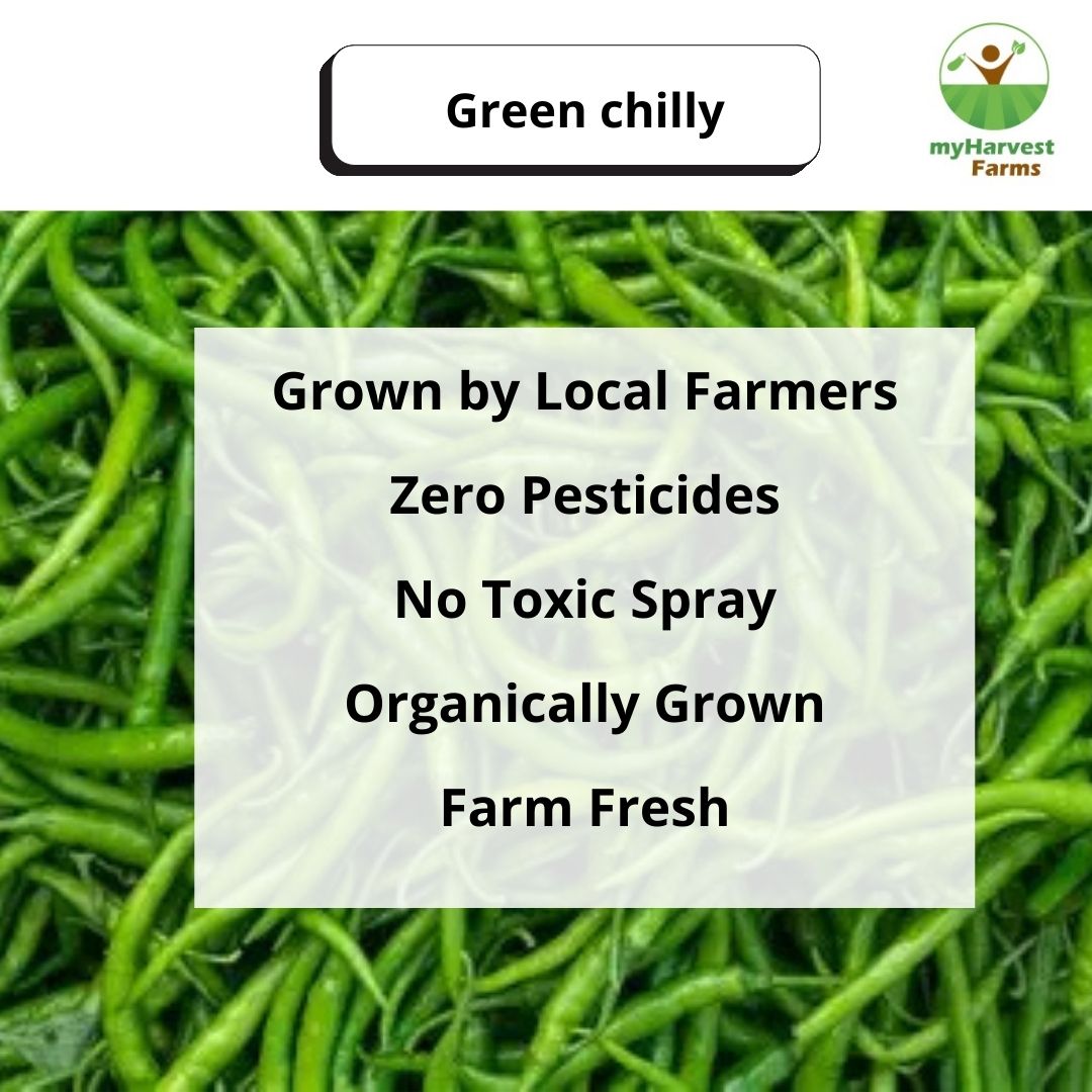Green Chilly