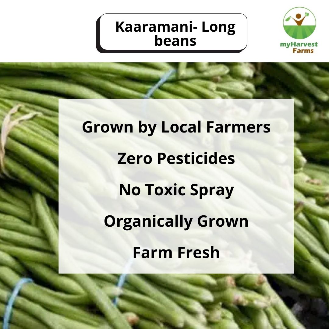 Kaaramani - Long Beans