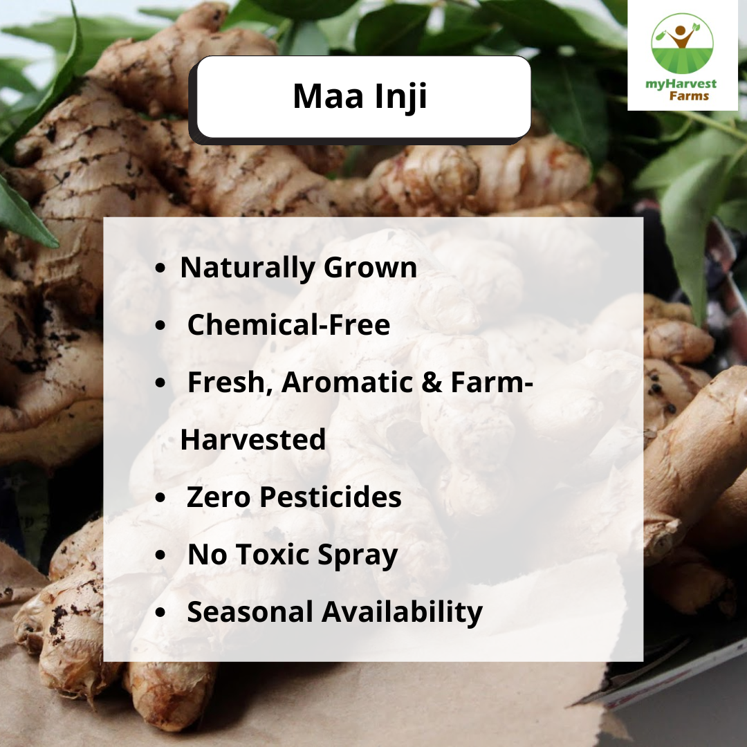 Maa Inji - Mango Ginger