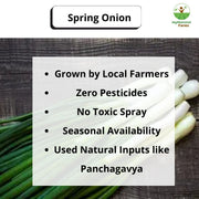 Spring Onion