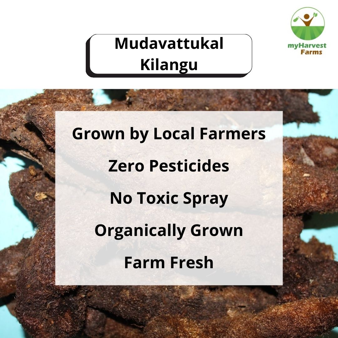 Mudavaatukaal Kizhangu