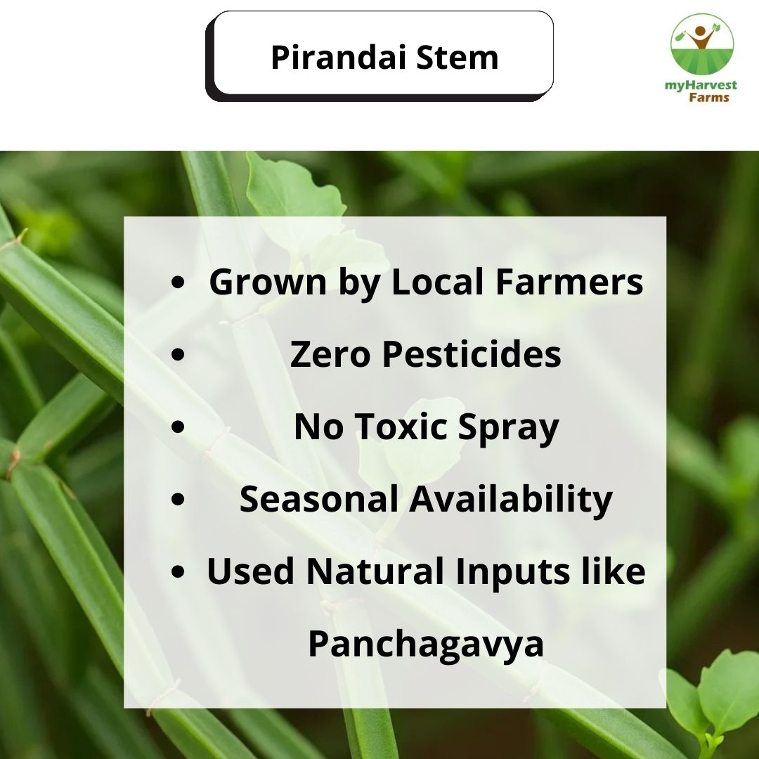 Pirandai Stem