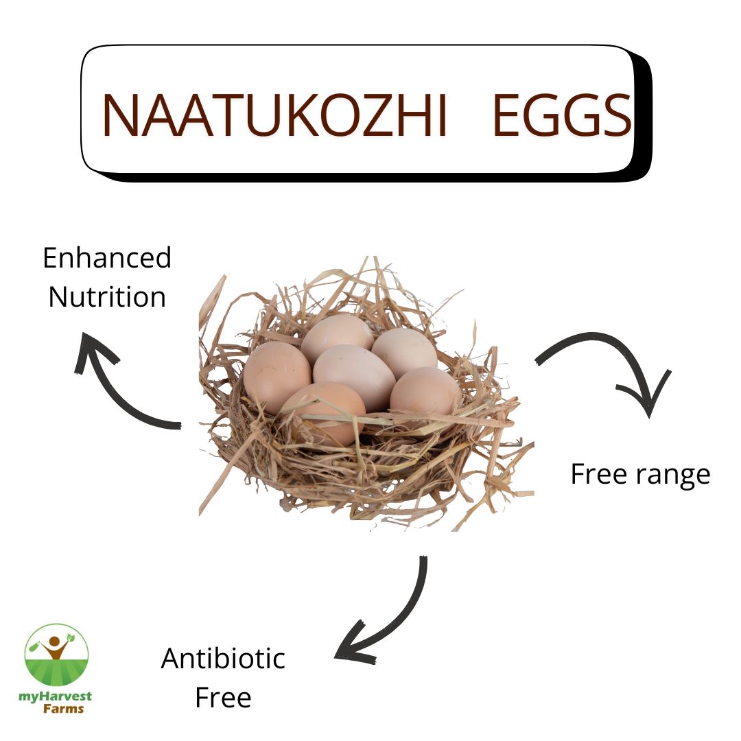 Naatukozhi Eggs