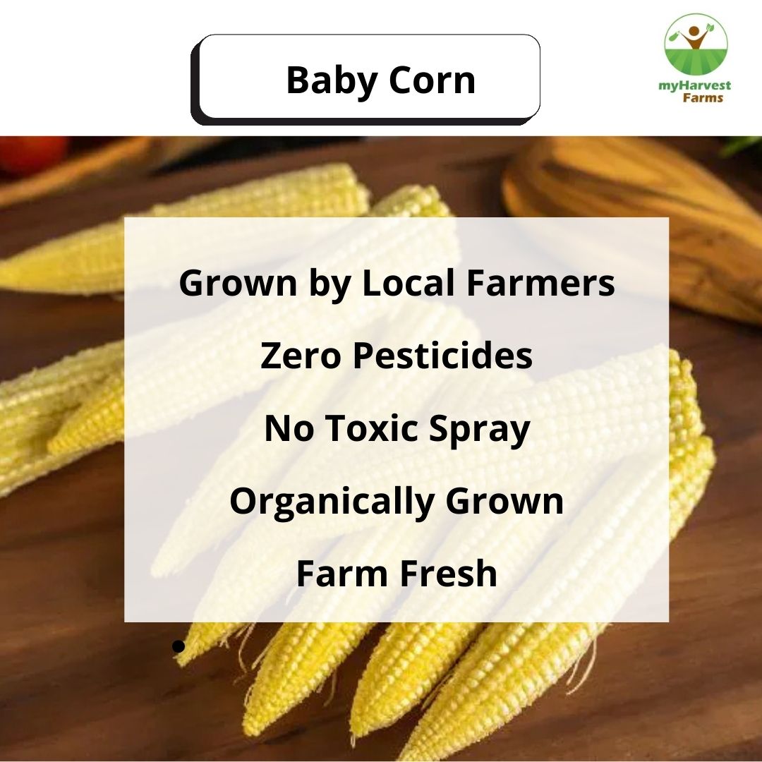 Baby Corn