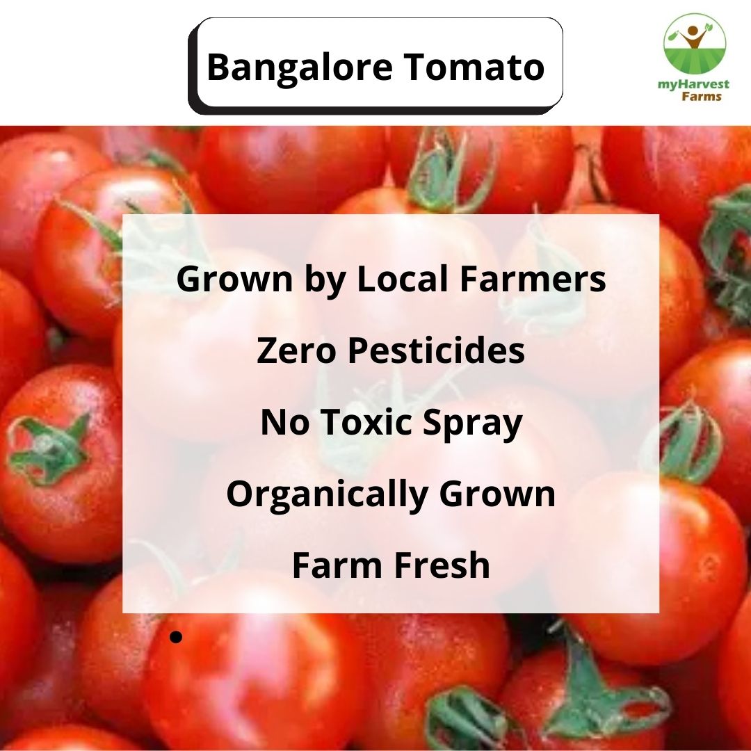 Bangalore Tomato
