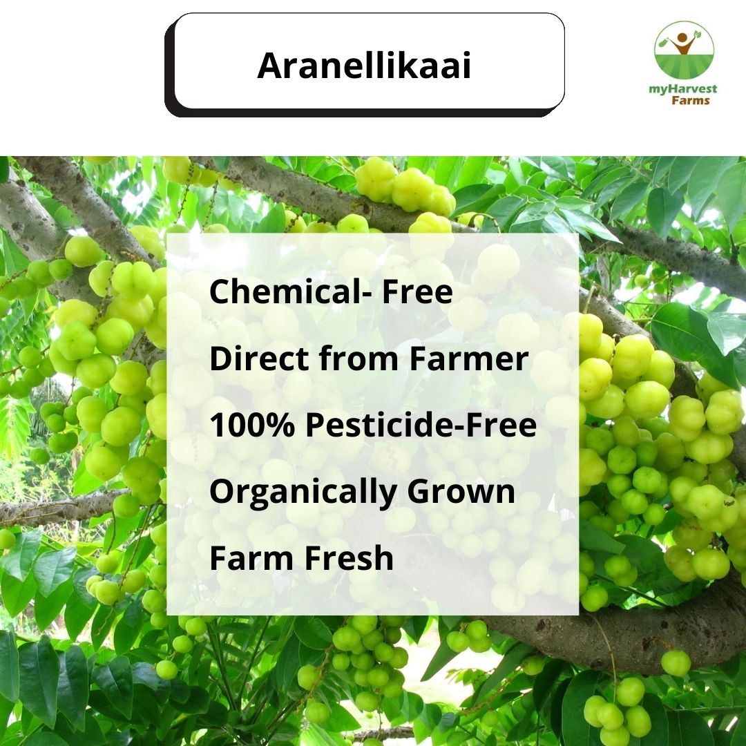 Aranellikaai