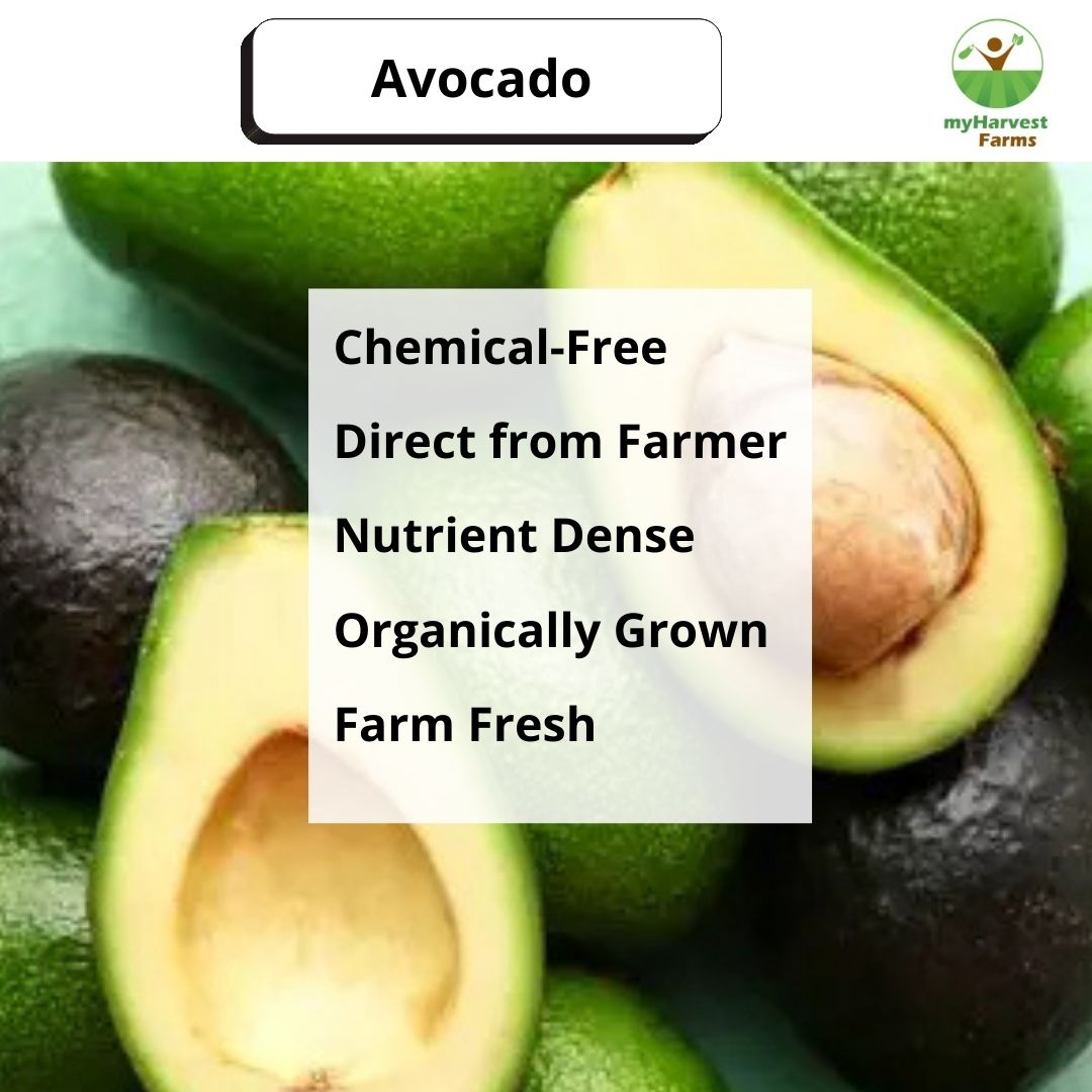 Avocado