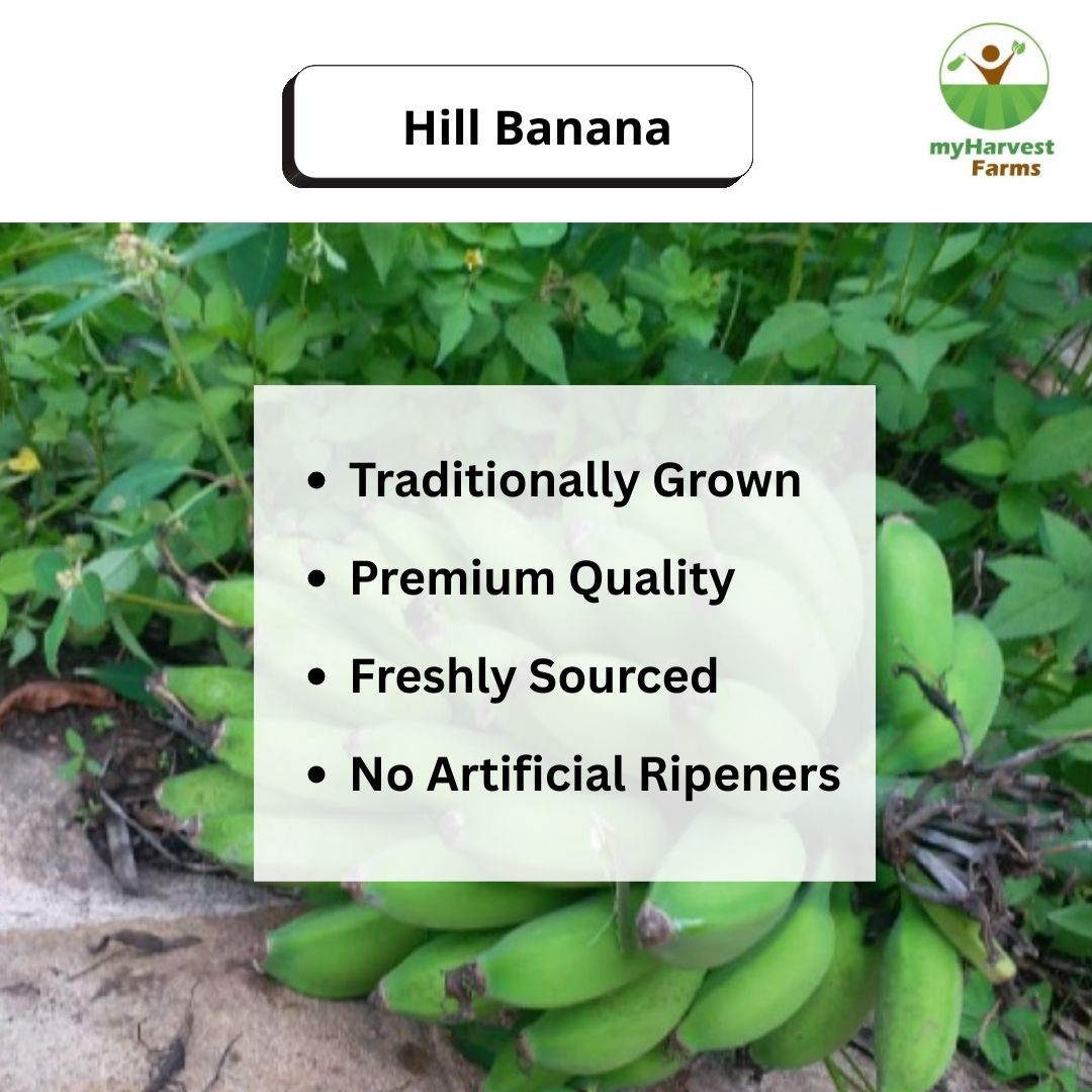 Hill Banana