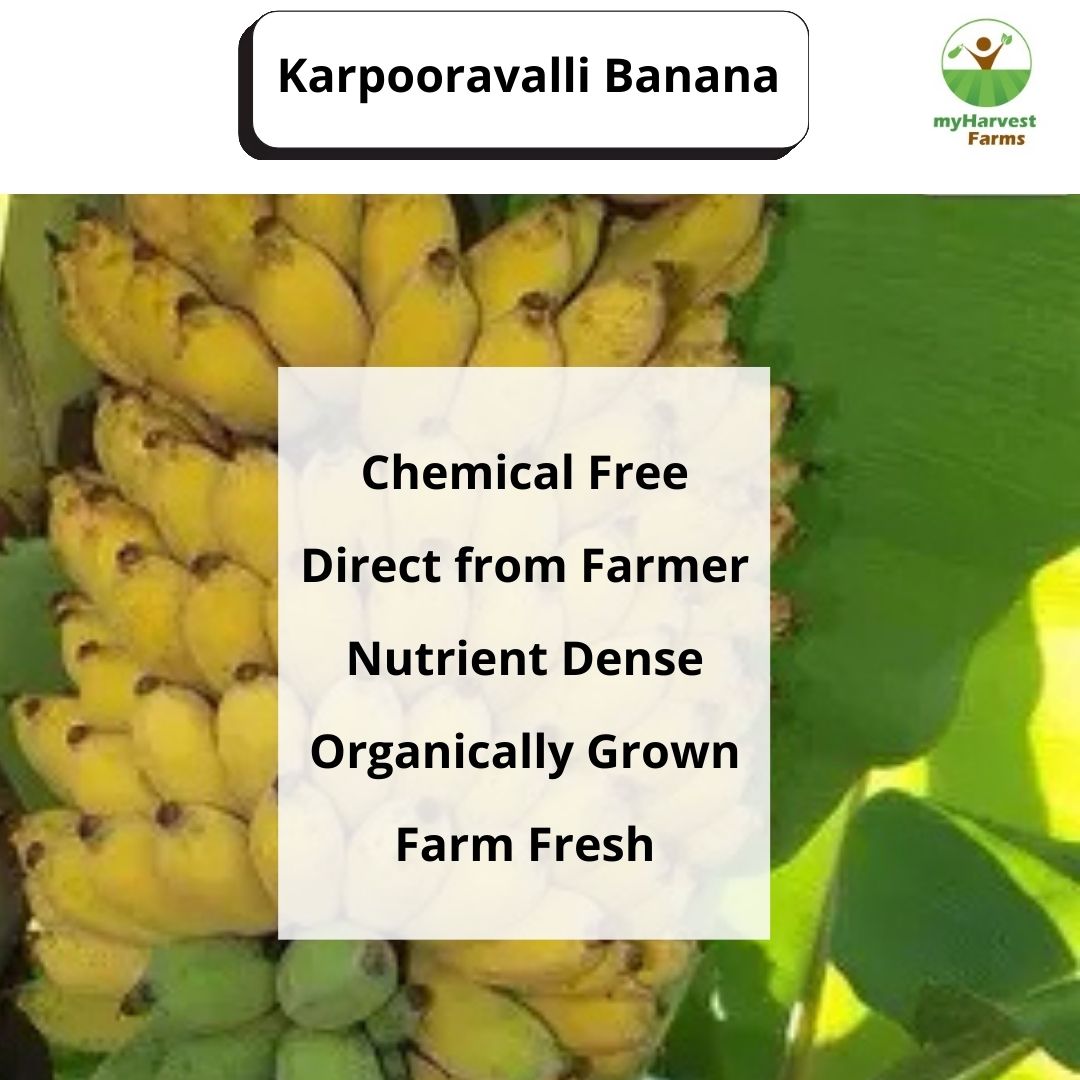 Karpooravalli Banana
