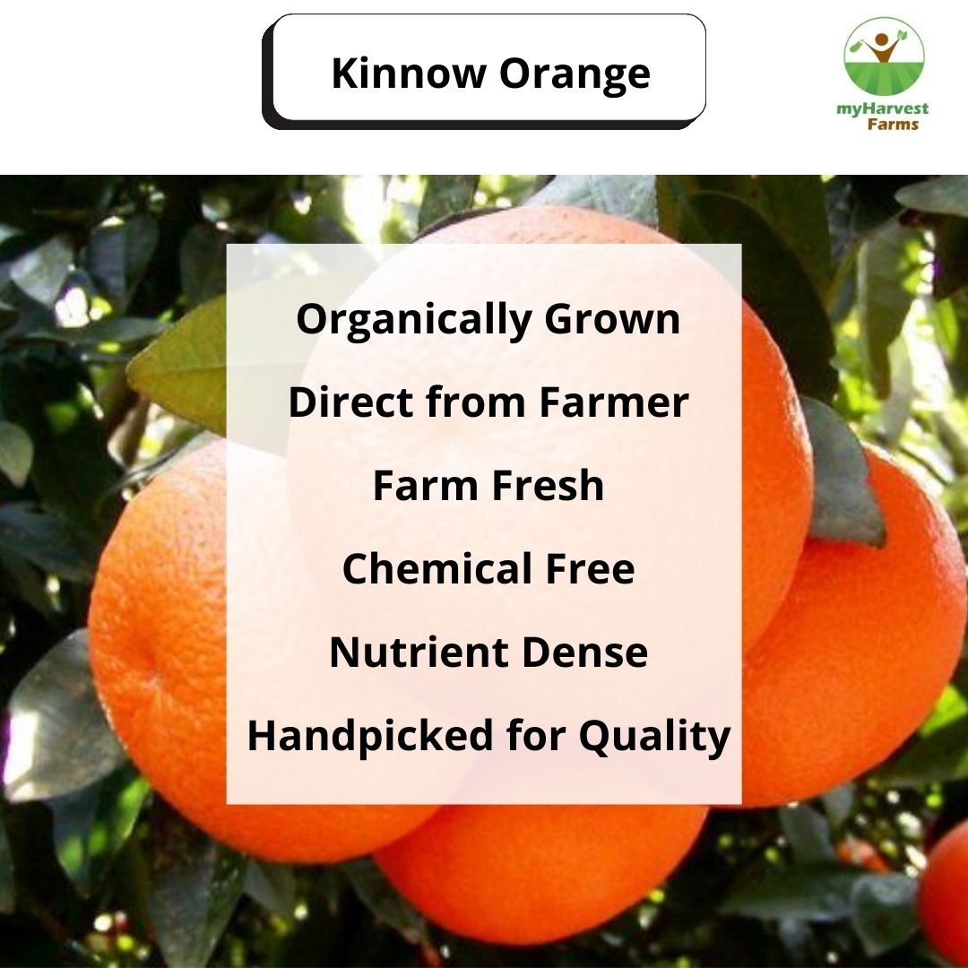 Kinnow Orange