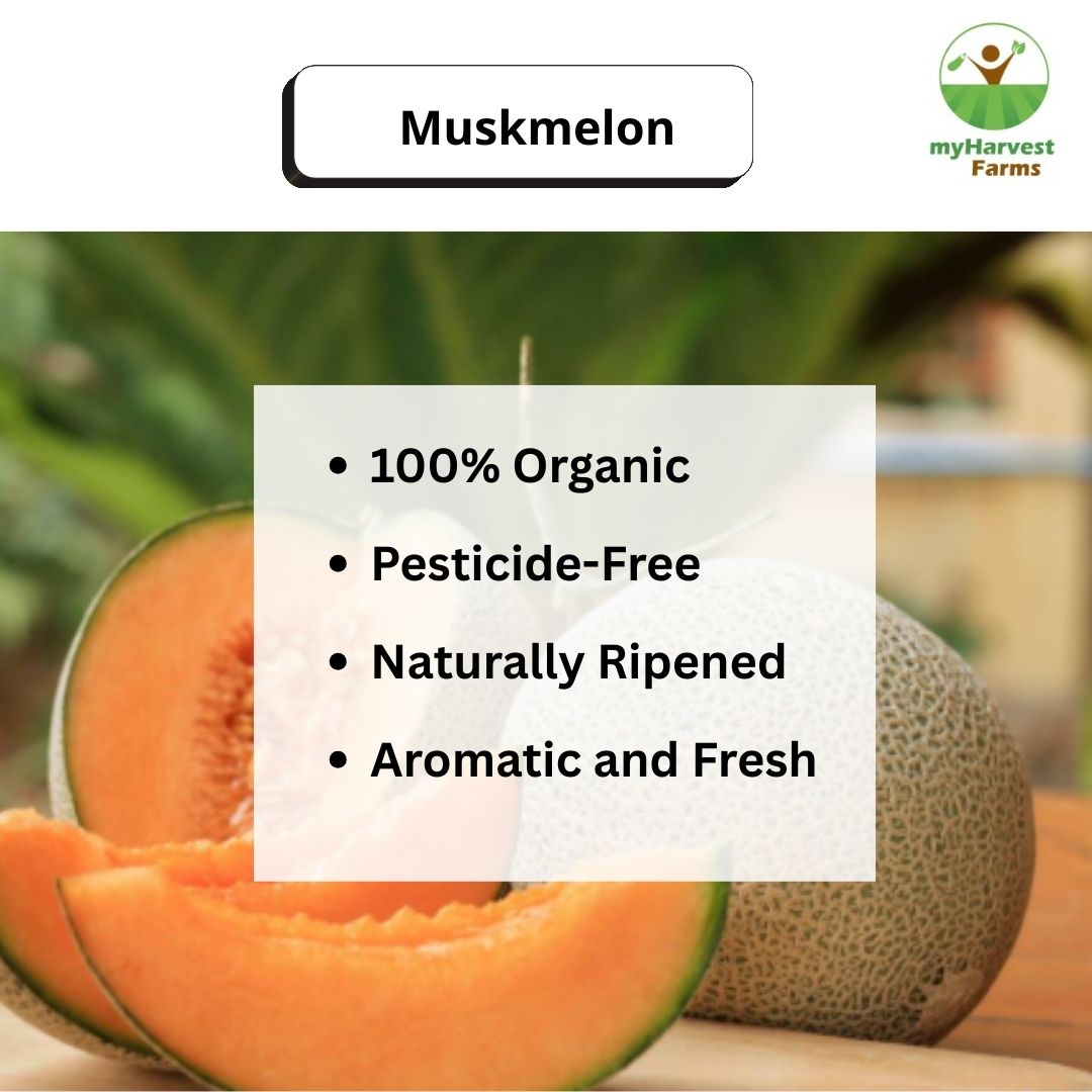 Muskmelon