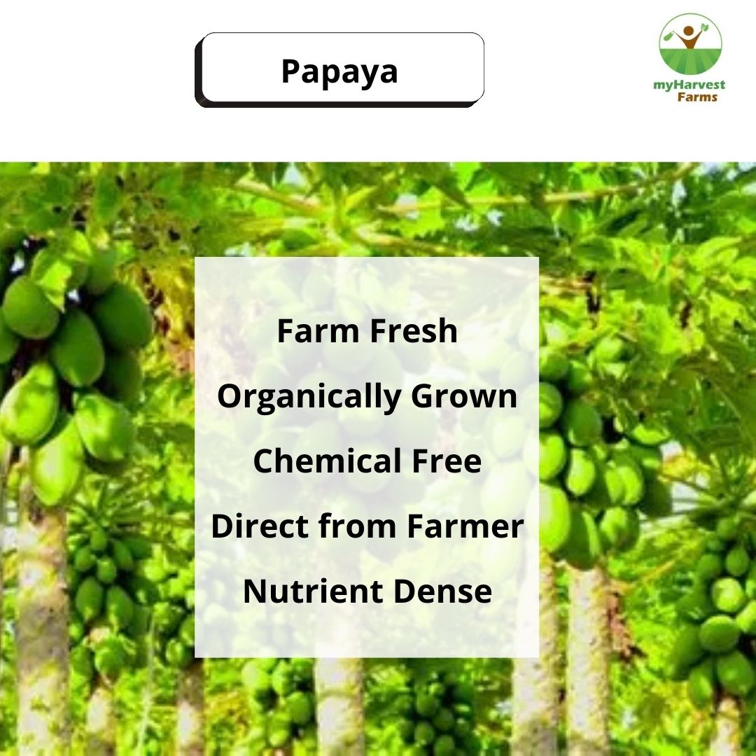 Papaya