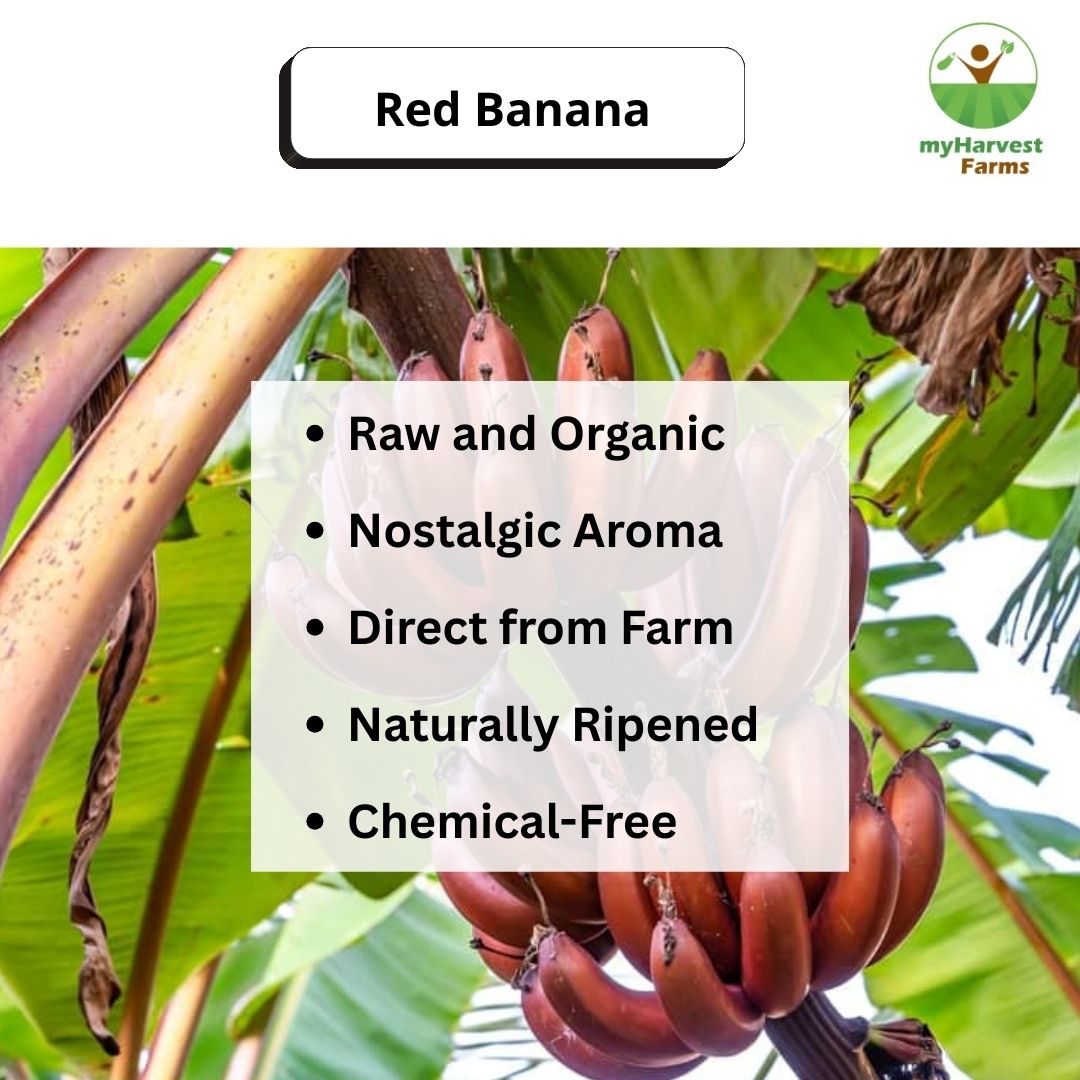 Red Banana