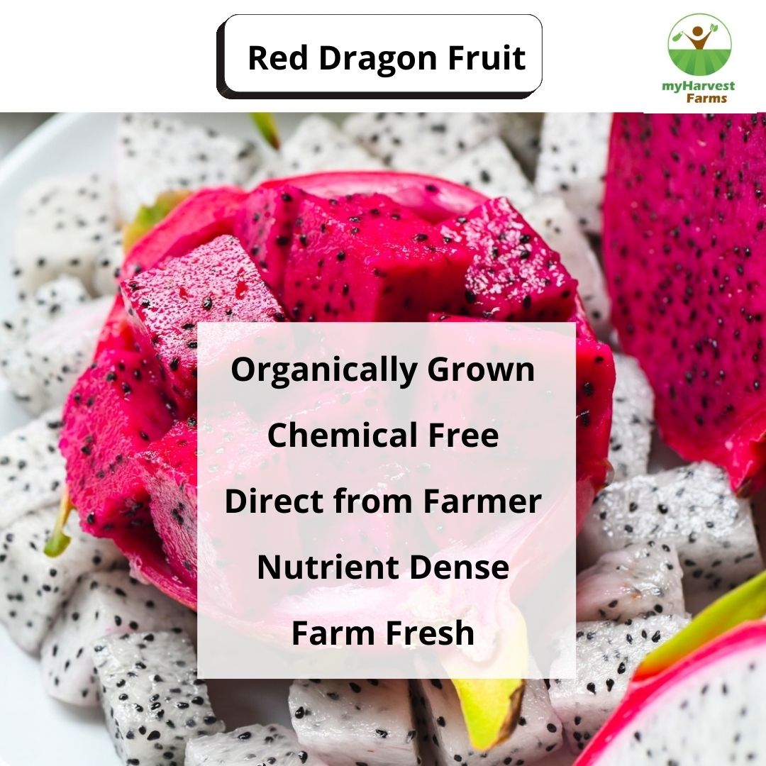 Red Dragon Fruit