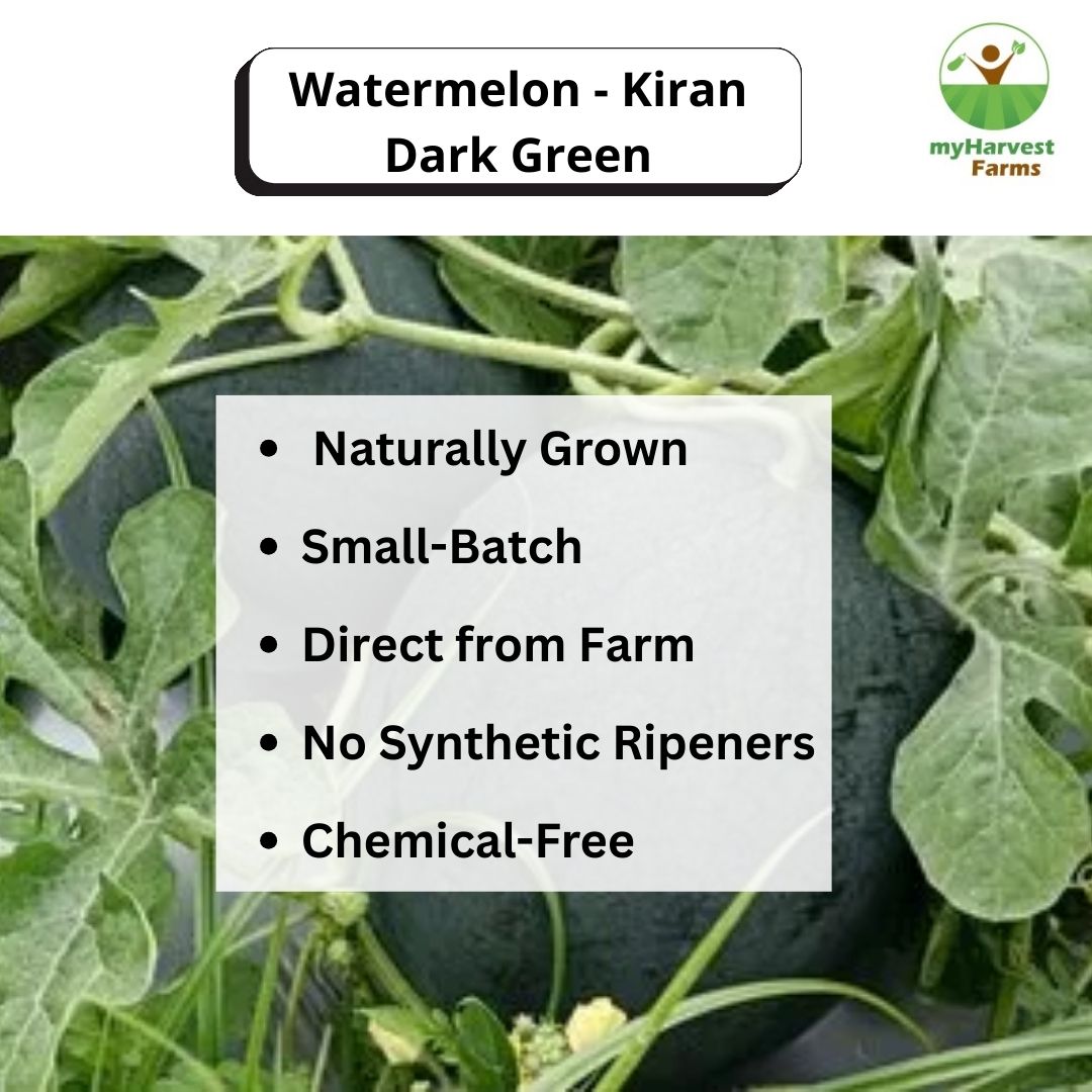 Watermelon - Kiran Dark Green