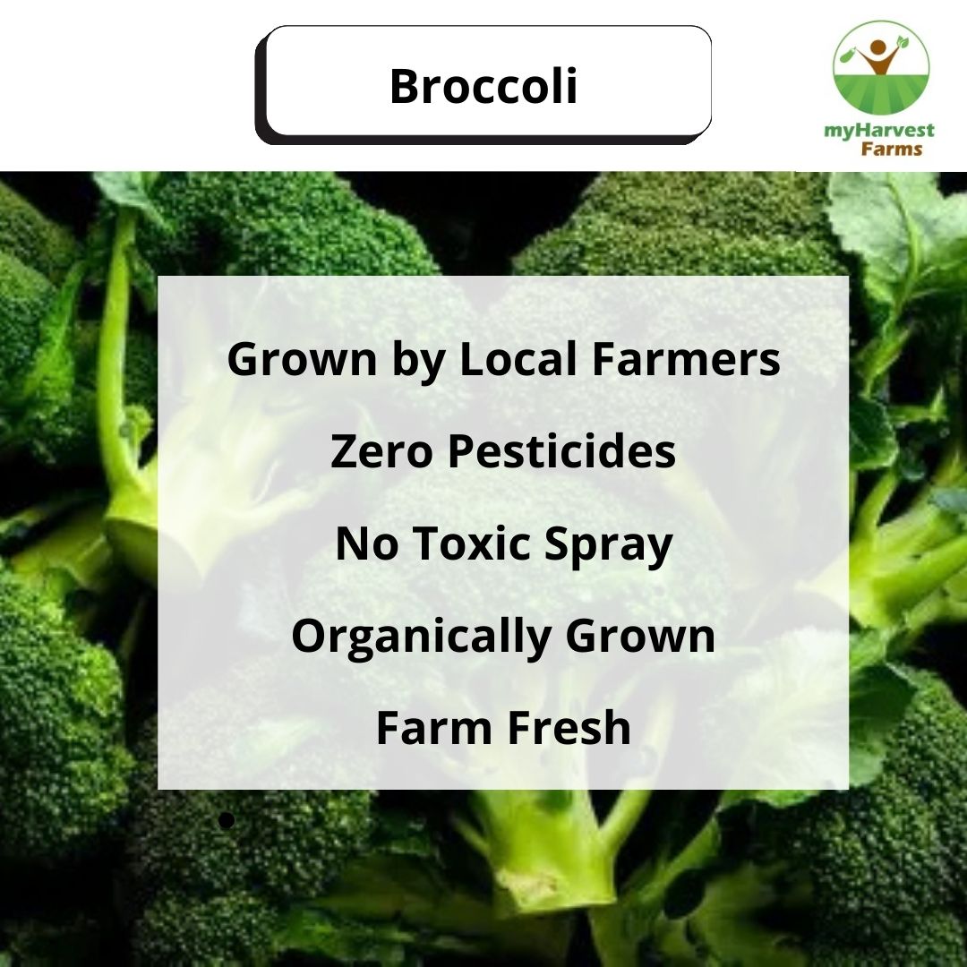 Broccoli
