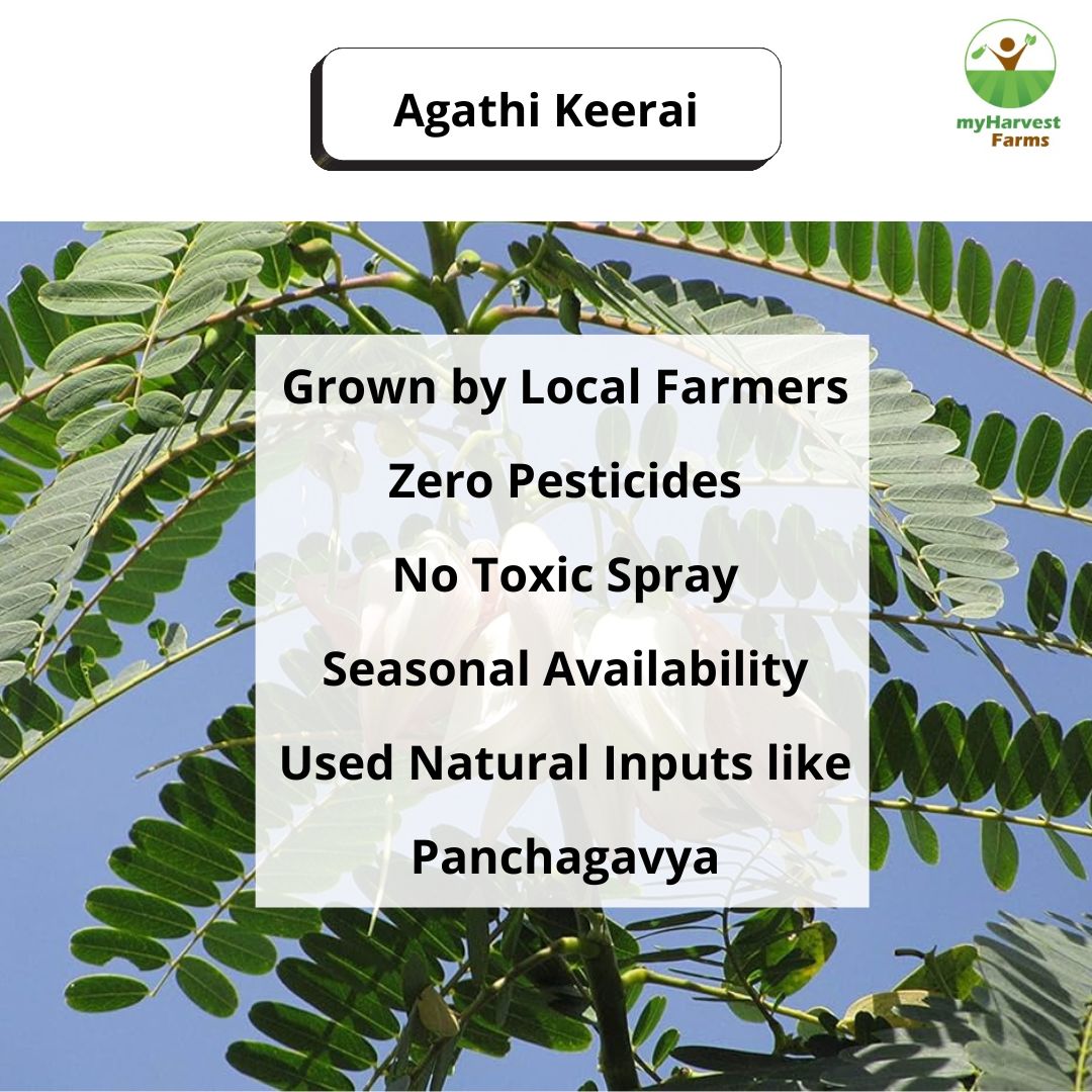 Agathi Keerai