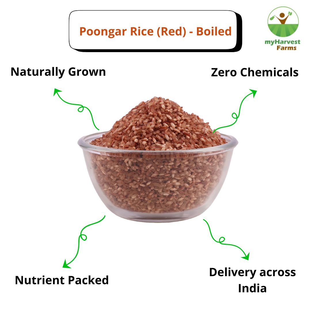 Poongar Rice (Red) - Boiled