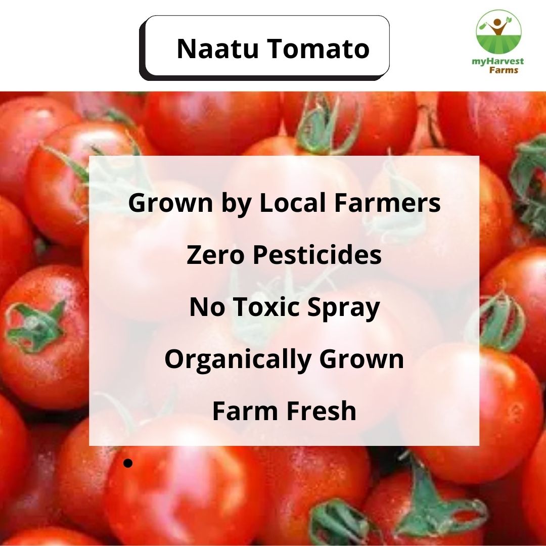 Naatu Tomato