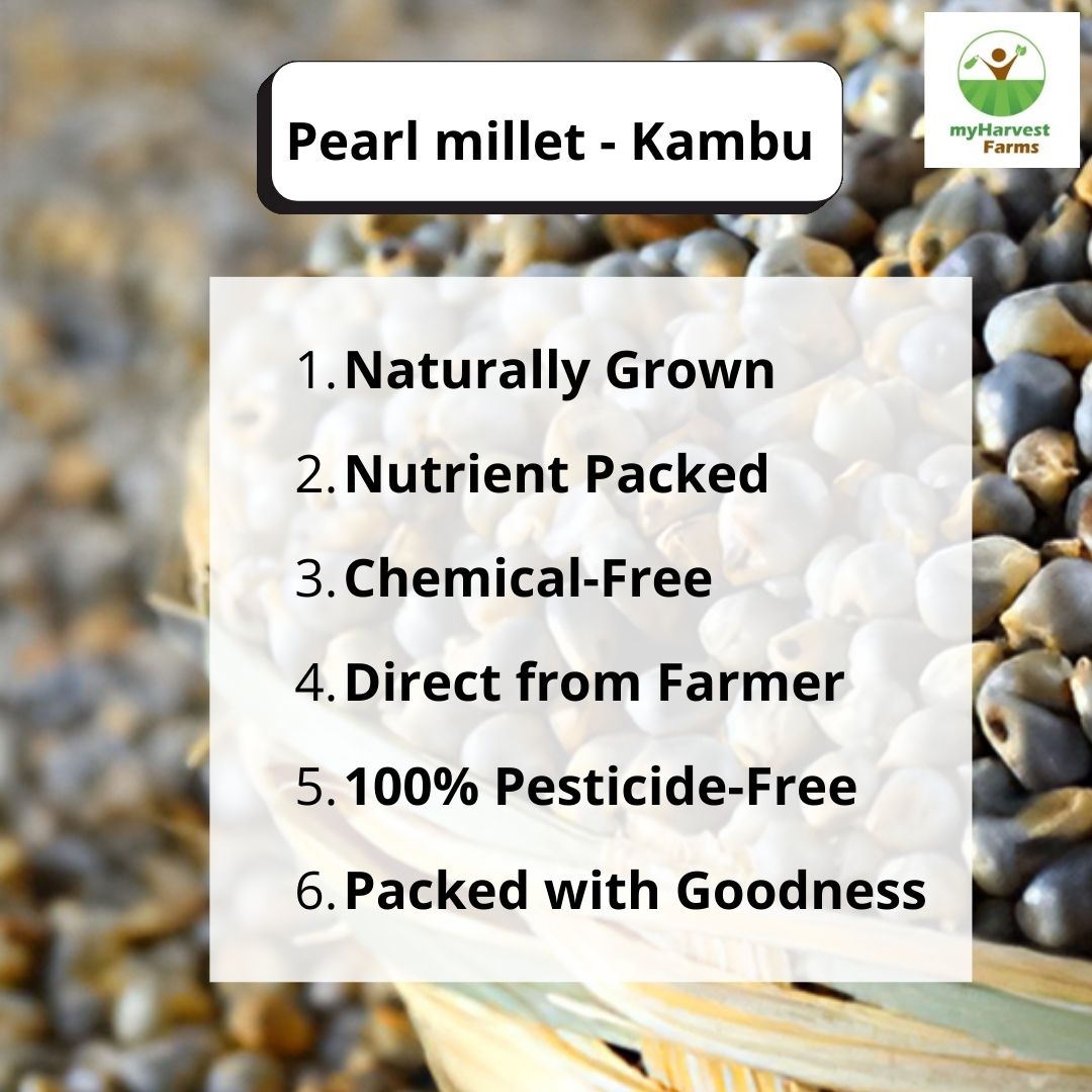 Naatu Kambu - Pearl Millet