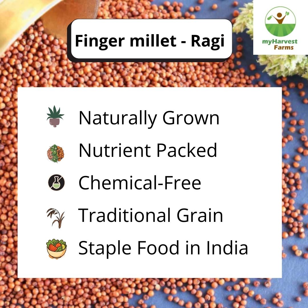 Ragi - Finger Millet