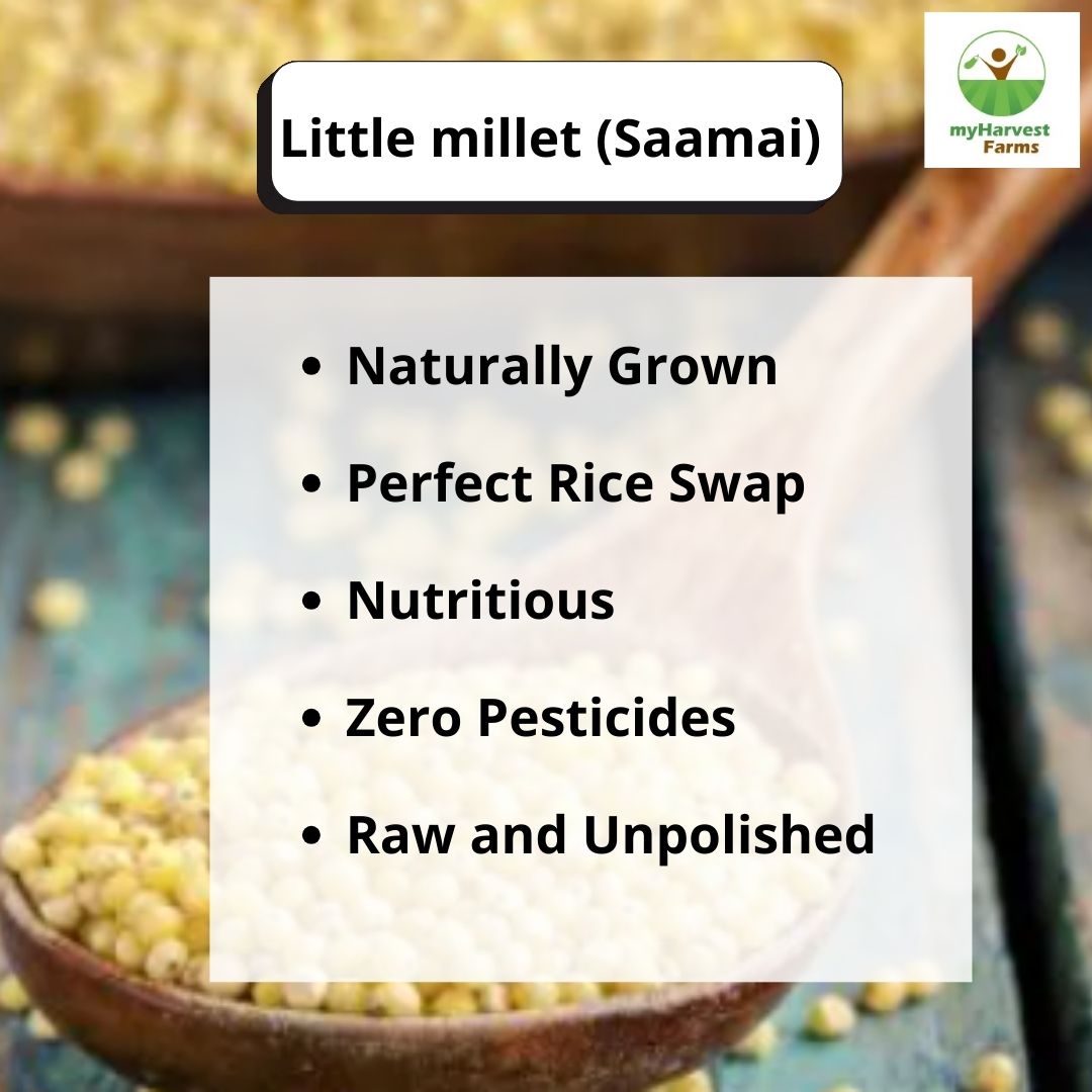Samai - Little Millet