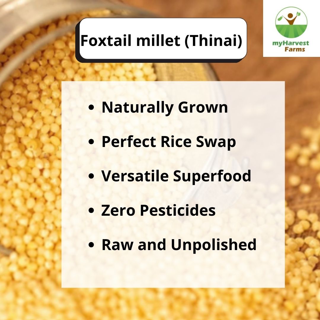 Thinai - Foxtail Millet