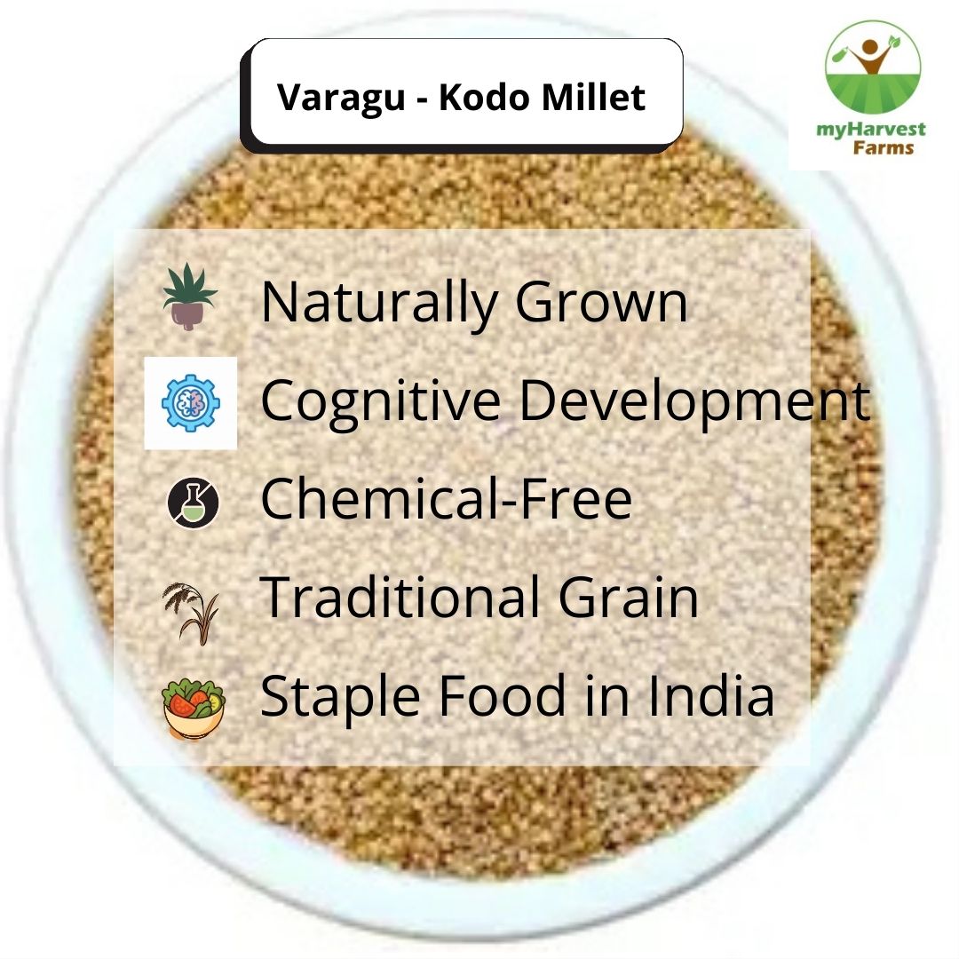 Varagu - Kodo Millet