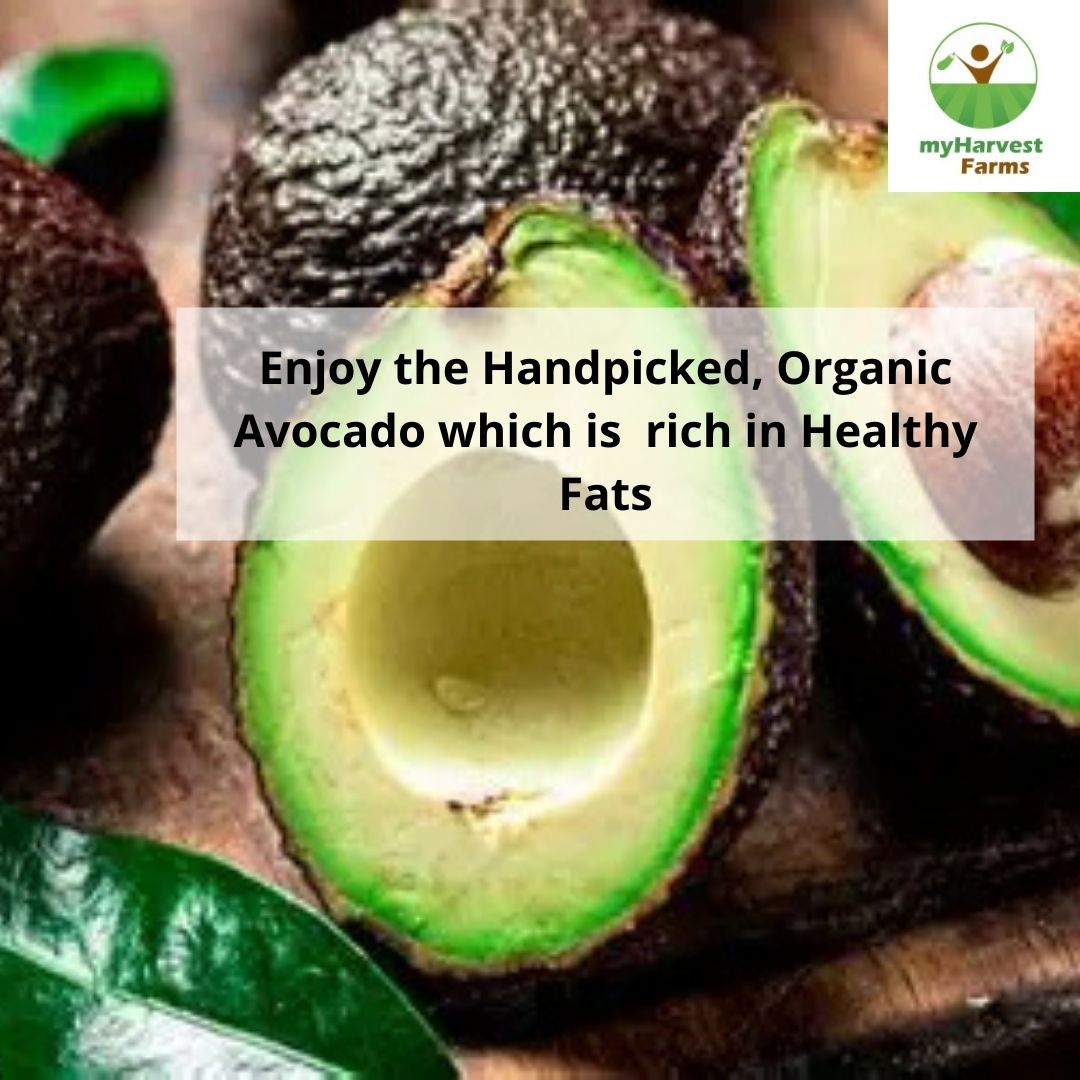Avocado