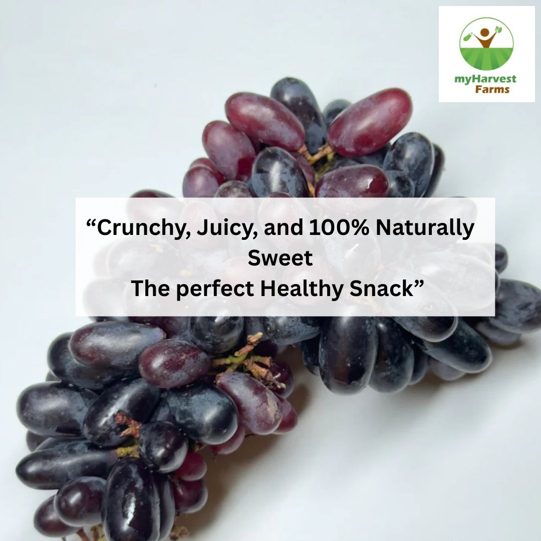 Organic Seedless Black Grapes | Chemical-Free Seasonal Fruit |
