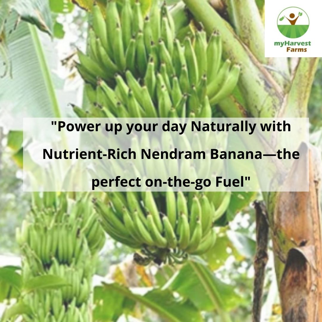 Nendram Banana