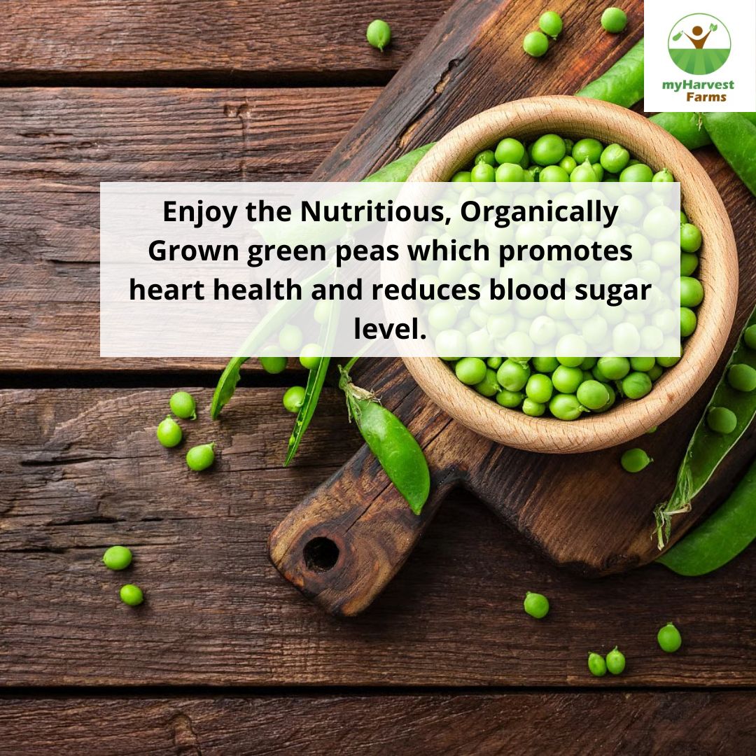 Pattani - Green Peas