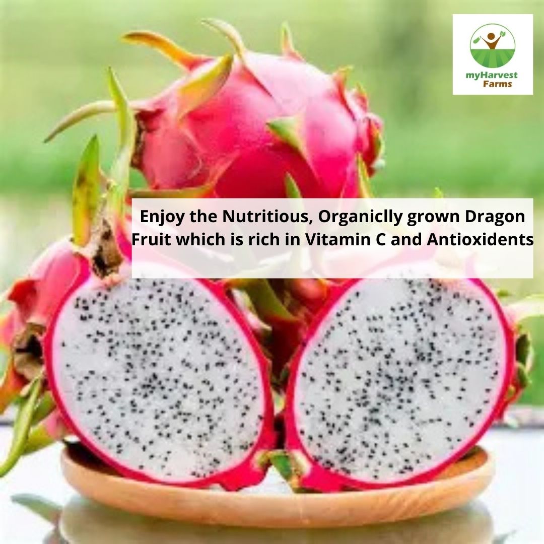 Red Dragon Fruit
