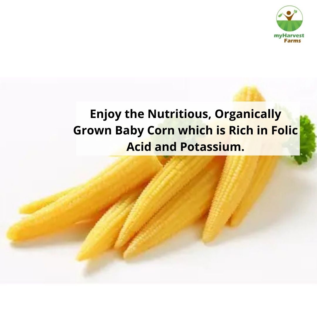 Baby Corn