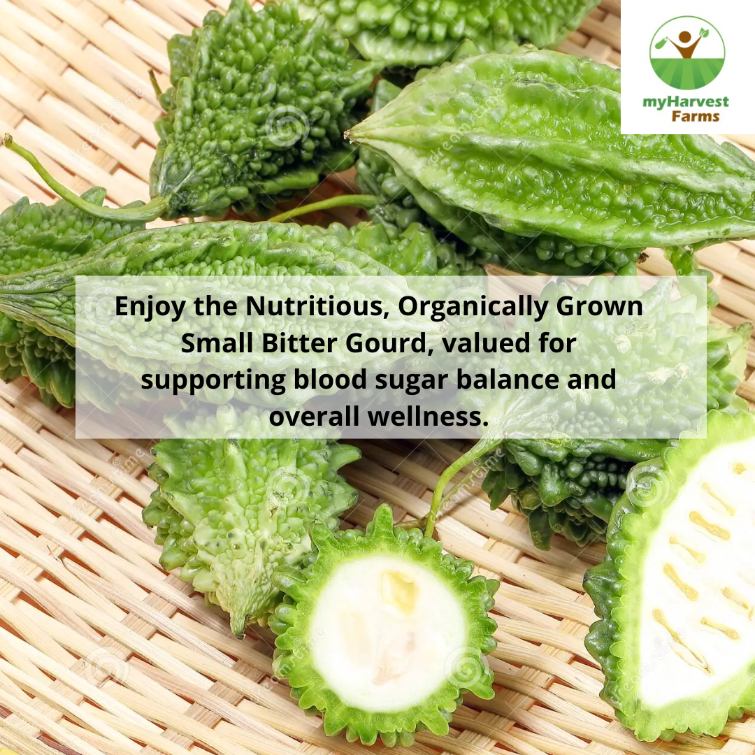 Bitter Gourd - Small