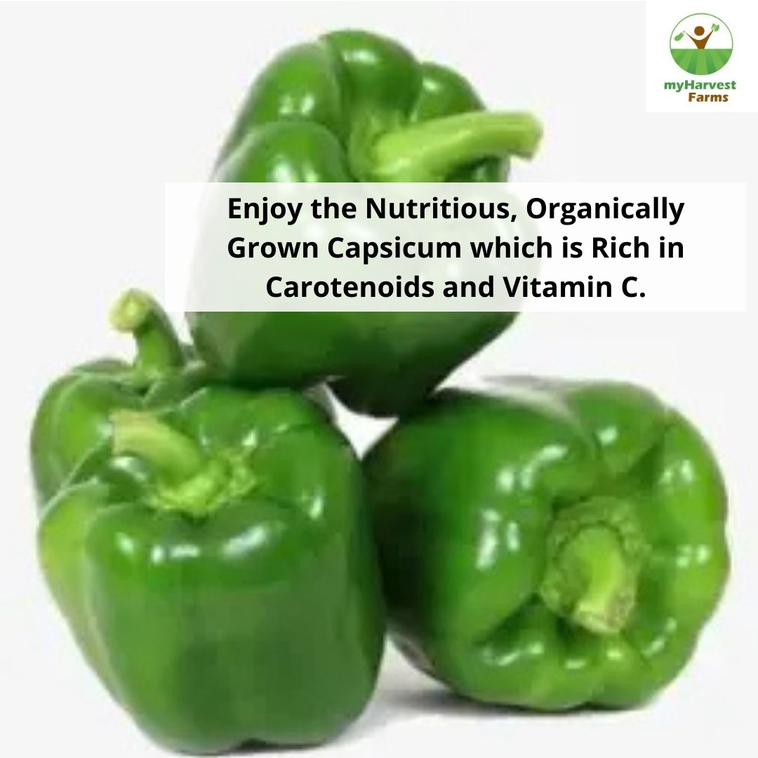 Capsicum - Green