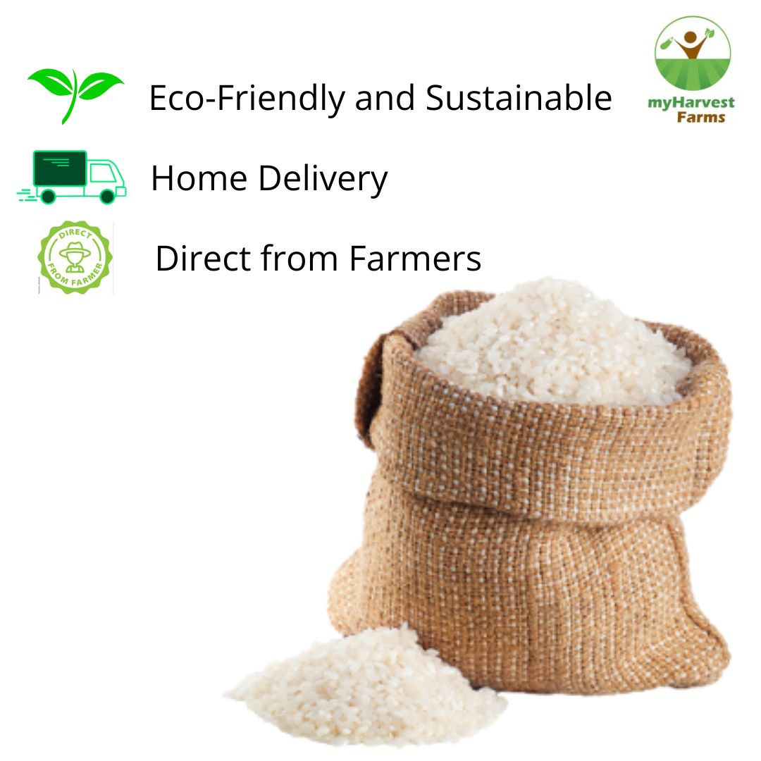 Kichili Samba Rice (White) - Boiled