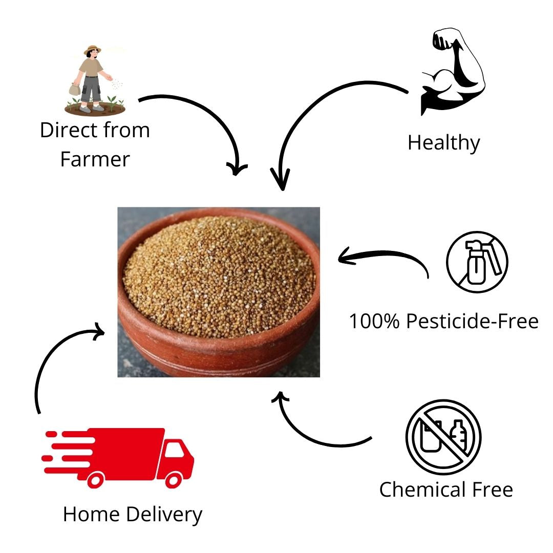 Kuthiraivaali - Barnyard Millet