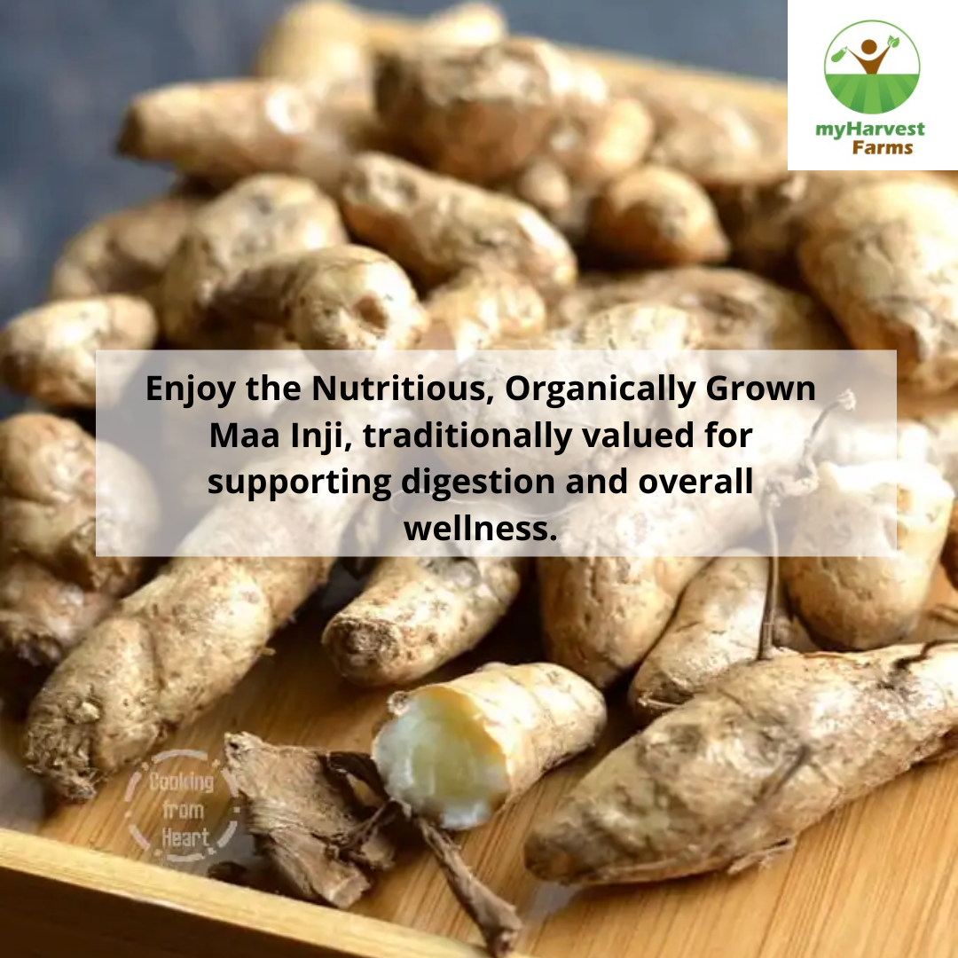 Maa Inji - Mango Ginger