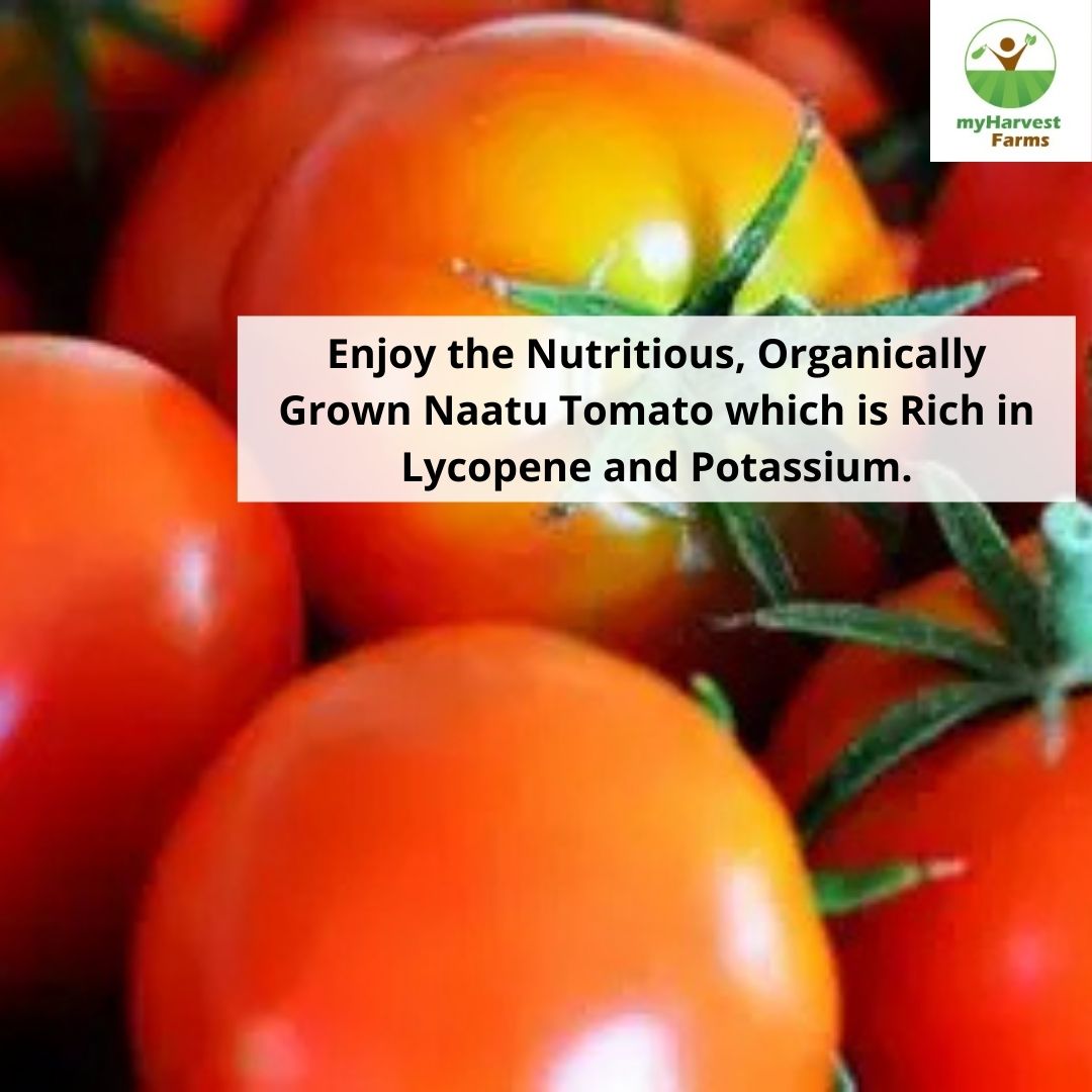 Naatu Tomato
