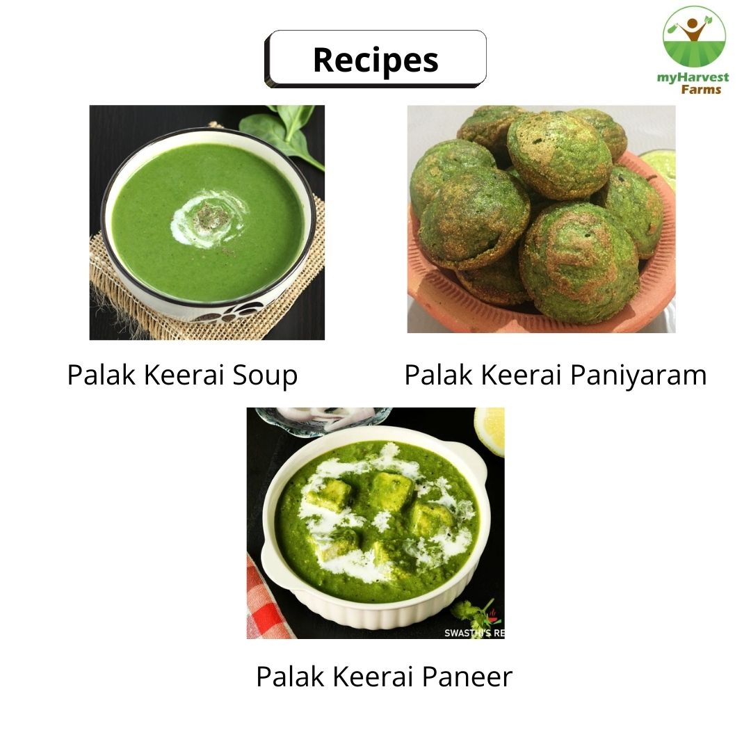Palak