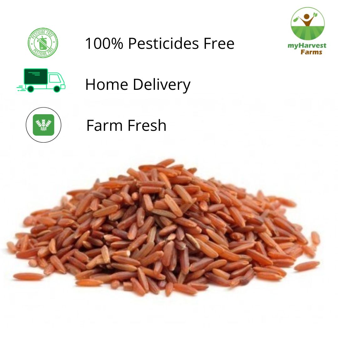 Poongar Rice (Red) - Boiled