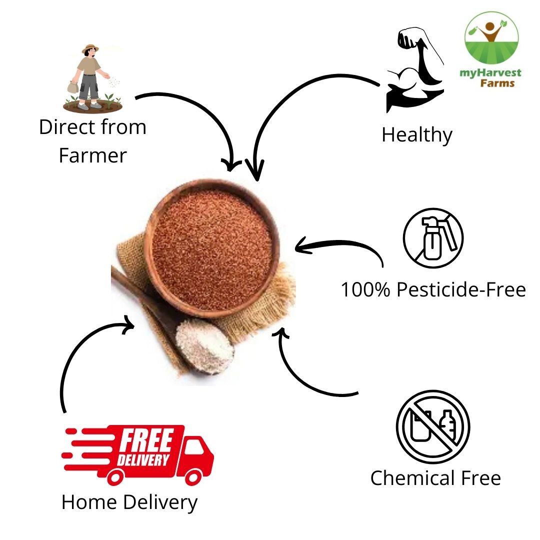 Ragi - Finger Millet