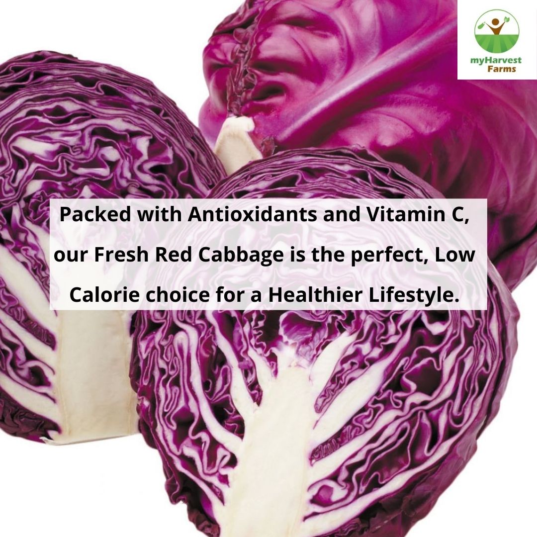 Red Cabbage