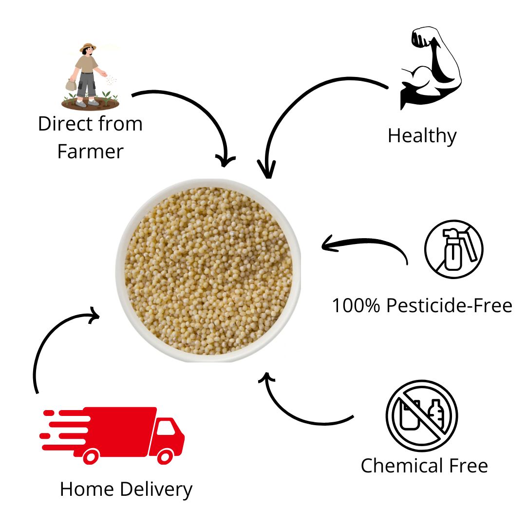 Varagu - Kodo Millet