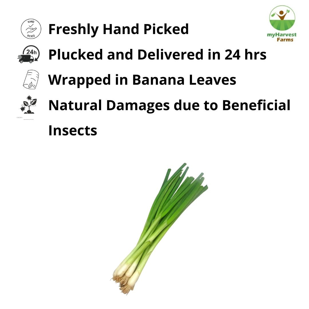 Spring Onion