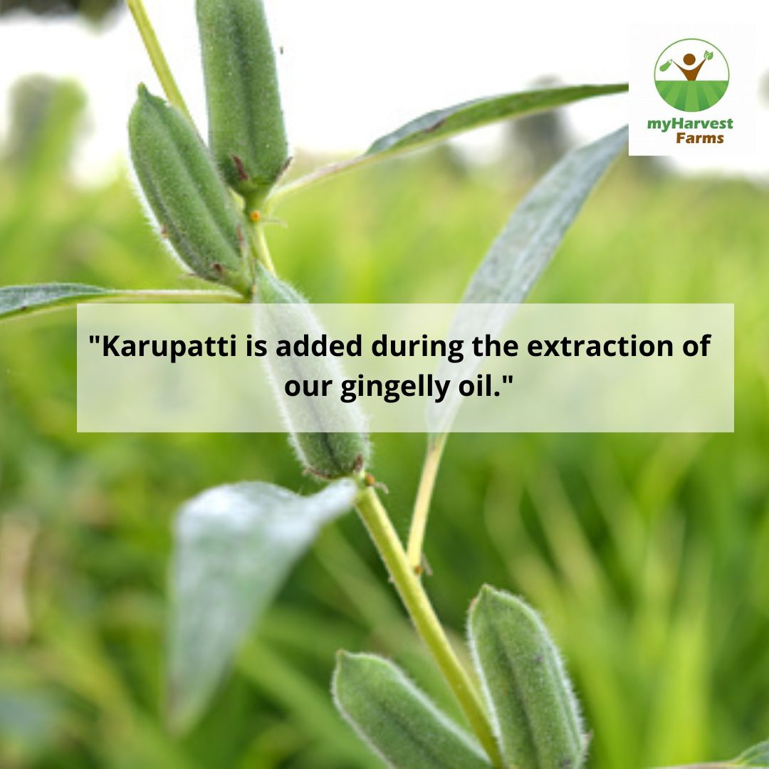 Gingelly Oil - Cold Pressed