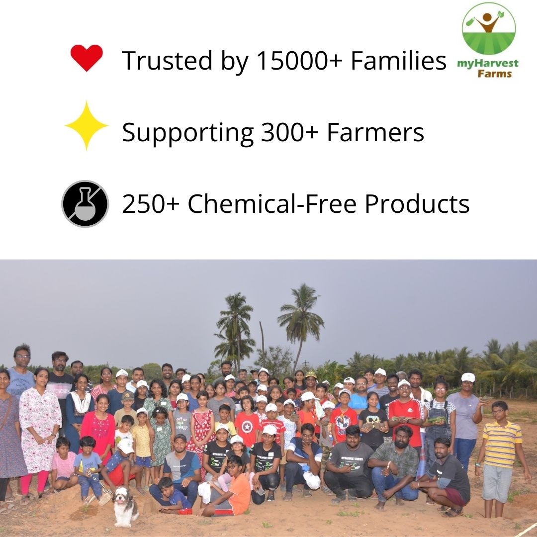 Groundnut Oil - Cold Pressed