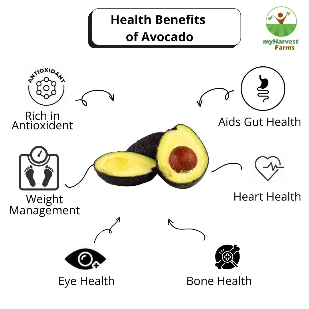 Avocado